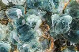 Plate Of Green Fluorite Crystals on Quartz - China #112188-3